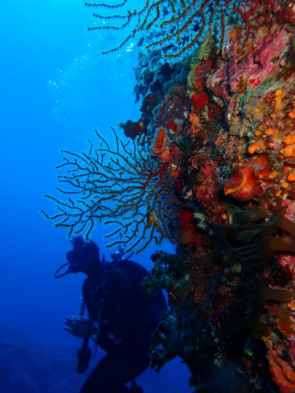 Qing Feng Diving B&B Green Island Zewnętrze zdjęcie