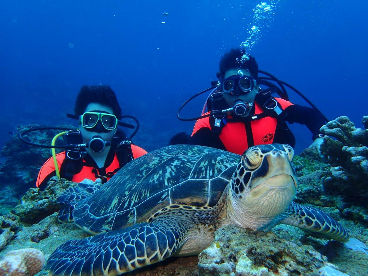 Qing Feng Diving B&B Green Island Zewnętrze zdjęcie